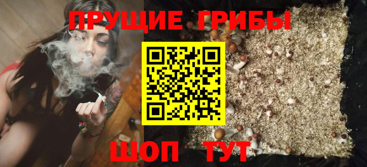 Галлюциногенные грибы мухоморы  Вход с VPN  Алапаевск 